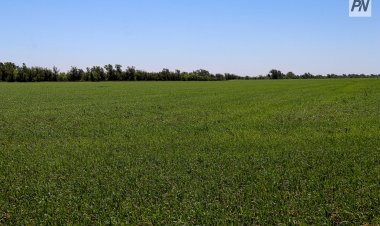 Павлодарлық кәсіпкерге жер учаскесін беруді негізсіз кешіктірген