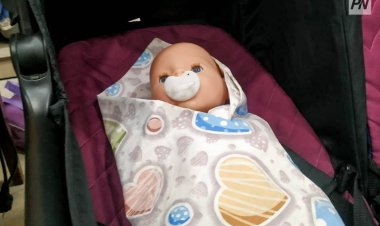 Павлодарлық дәрігер: Қоғамның ЭКО-ға деген көзқарасы өзгерген