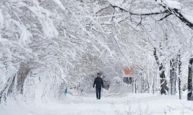 Биыл қыста Павлодар облысында жауын-шашын аз түседі