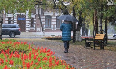Сенбі күні Павлодар облысында жаңбыр жауады