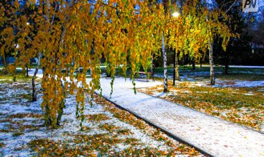 Дождь и снег выпадут в Павлодарской области 24 октября