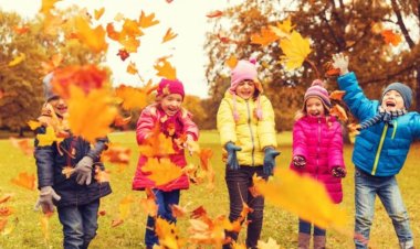 Сколько отдохнут павлодарские школьники на осенних каникулах