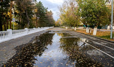 Дождливо и облачно будет в Павлодарской области 26 октября