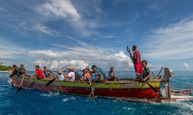 Неопознанное существо: на берег в Папуа-Новой Гвинее вынесло русалку