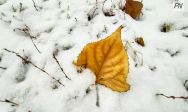 27 қазанда Павлодар облысында қар жауады