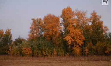 Павлодар облысында сенбі күні жауын-шашынсыз ауа райы болады