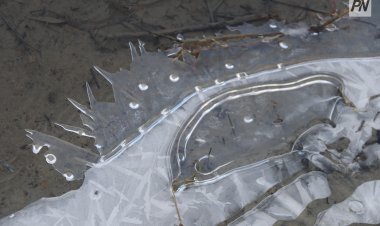 Павлодар облысында осы аптада көктайғақ күтіледі