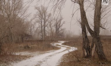 Туманно будет в Павлодарской области 31 октября