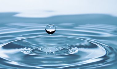 Павлодарского монополиста наказали штрафом