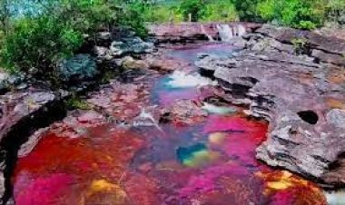 Непрофессиональные художники обещают удивить павлодарцев