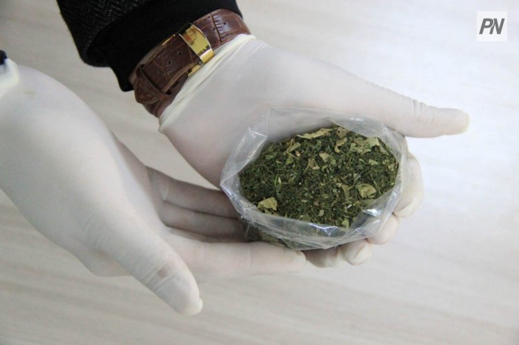Павлодарские полицейские выявили канал поставки наркотиков