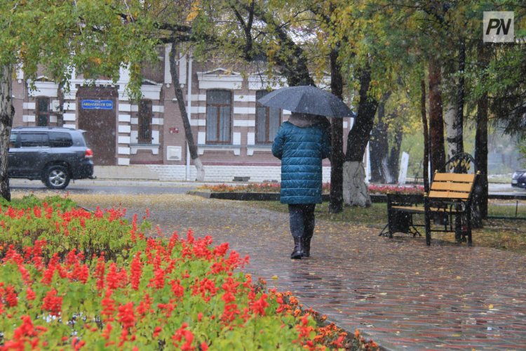 13 октября в Павлодарской области будет туманно