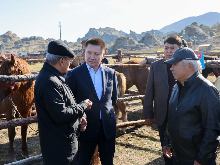 Проблемы коневодства обсудили в Павлодарской области
