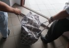 Шарбақтыда рұқсатсыз жұмыс істеген шетелдіктер ұсталды