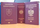 Екібастұзда тағы да заңсыз еңбек еткен шетелдіктер анықталды