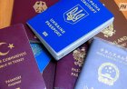 Павлодар облысында мыңға жуық шетелдік көші-қон заңнамасын бұзған