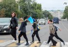 «Заң мен тәртіп»: Павлодарда оқушылар жолдан қауіпсіз өтуді үйренді