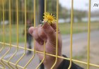 Павлодарлық азамат бірнеше айдан кейін табылды