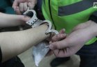 Екібастұзда бөлшектелген әйелдің мәйіті табылды, күдікті ұсталды