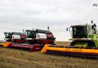Павлодар облысы Қазақстанның АӨК кешеніндегі инвестиция бойынша көшбасшы атанды