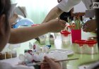 Оқушылар қазына іздеді: Павлодар ауданында ерекше мереке өтті