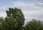 Құдайкөлдегі бүлінген үйлер бір апта ішінде толық тексеріледі