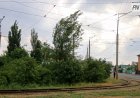 Павлодар облысында дауылды ауа райынан бірнеше адам зардап шекті