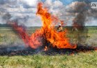 Павлодар облысындағы дала өрті оқшауланды