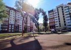 Павлодар аулаларында көлік қоюға тыйым салына ма?