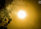 Жара до 41°C ожидает жителей Павлодарской области 22 июня