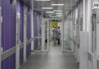Павлодарда жатыр мойны обырының алдын алу жолдары айтылды