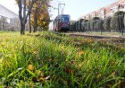 Чех мамандары павлодардың трамвай желісін жоғары бағалады