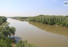 Власти Павлодарской области обеспокоены ранним купанием детей в Иртыше