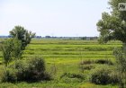 Екібастұзда заңсыз бөлінген жерлер мемлекет бақылауына қайтарылды