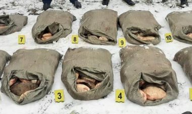 Двух браконьеров задержали в Майском районе