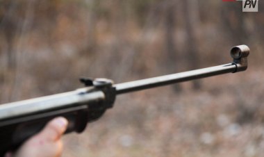 Павлодар облысында елік атқан адам ұсталды