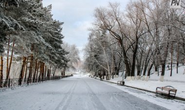 Павлодарлық полицейлер жолда абай болуға шақырады
