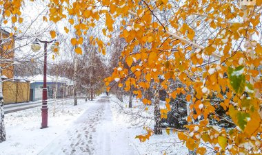 Топ красивых мест Павлодара для прогулок в снегопад