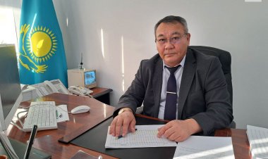 Секреты профессии: статистик