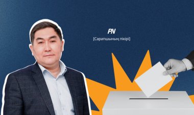 Павлодарлық профессор аудан әкімдерін сайлаудағы маңыздылықты айтып берді