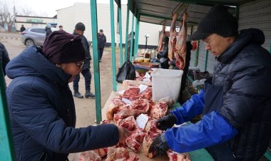 Арзан ет: Сайлау күні Ақтоғай ауданында жәрмеңке өтті