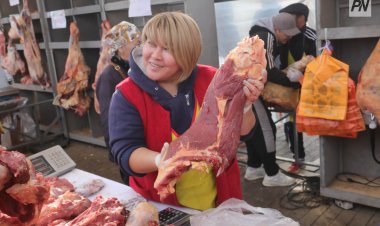 Павлодарская область вошла в пятерку регионов по производству мяса