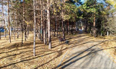 Вторая неделя ноября в Павлодарской области будет тёплой