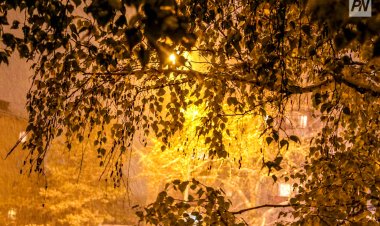 Без осадков будет в Павлодарской области 7 ноября