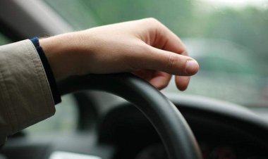 Екібастұзда жолда жүйткіген жүйріктер ұсталды