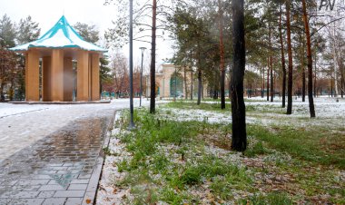 Облачно будет в Павлодарской области 8 ноября