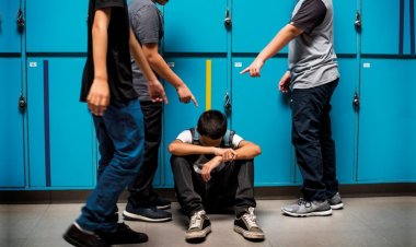 Мектептегі зорлық-зомбылық: Павлодардағы білім ошағына тексеру тағайындалды