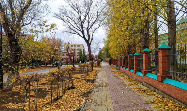 Небольшой дождь пройдет в Павлодарской области 9 ноября