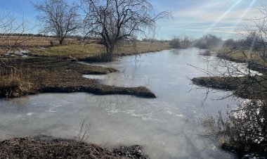Павлодар облысында жоғалған көпбалалы ана тікұшақпен іздестірілді