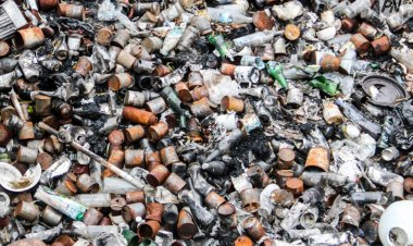 Павлодарда экологиялық тәртіпті бұзған кәсіпкерлерге айыппұл салынды